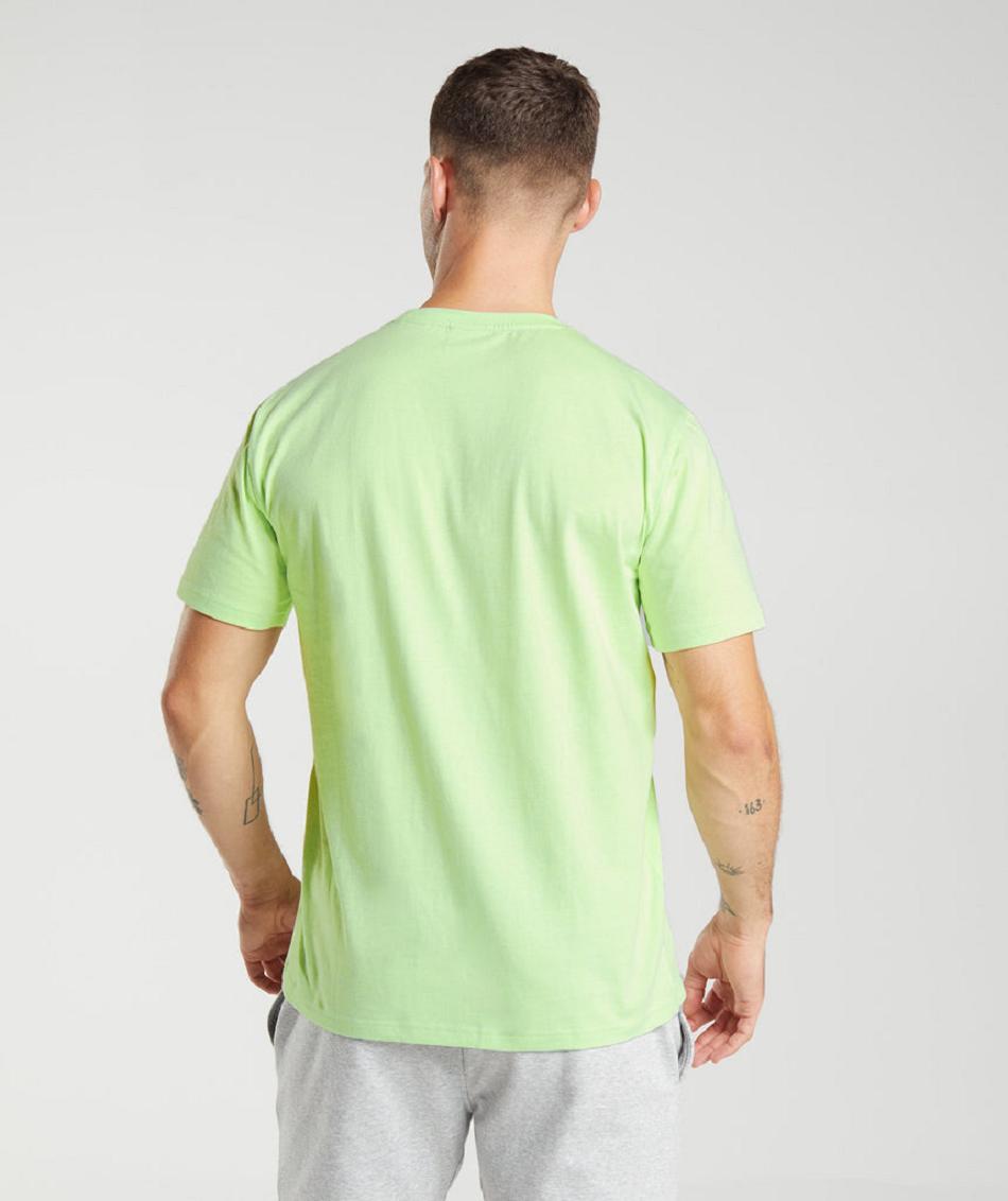 T Shirts Gymshark Crest Hombre Verde | CO 3258ILH